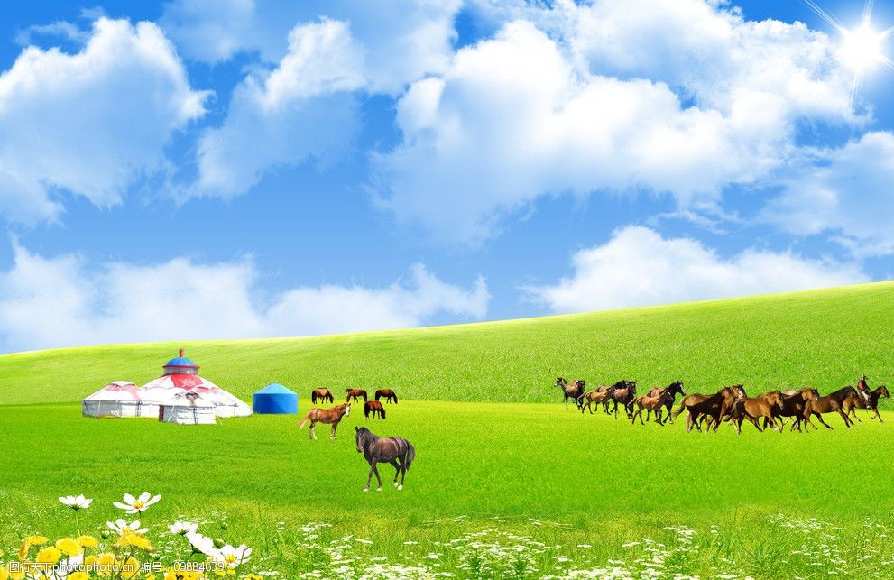 澜哭着求曜拔出棉签：曜含泪为澜取出棉签