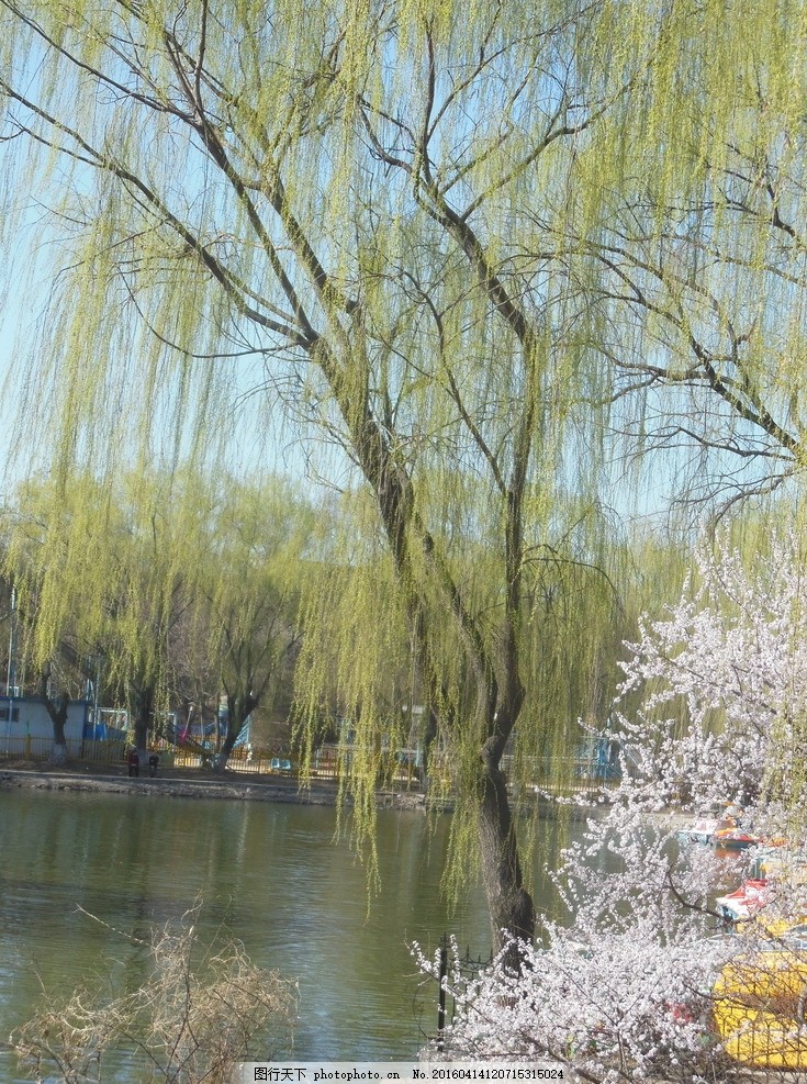 一边亲着一面膜下奶53分钟：赛场温情一幕：球员边哺乳边指导比赛53分钟