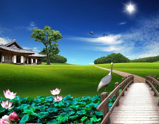 东亚人情感和欧美情感区别：东亚与欧美运动员情感表达差异引热议：文化背景如何影响赛场表现？
