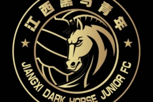 官方：江西黑马青年完成异地迁移程序，更名为温州职业足球俱乐部