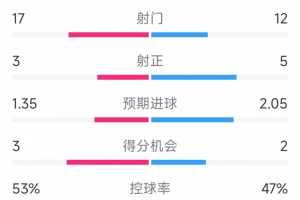 效率致胜，拜仁2-0勒沃库森全场数据：射门12-17，射正5-3