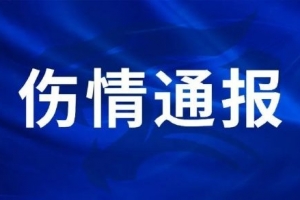 《伤情通报》