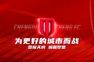 伤情通告｜关于成都蓉城队球员卡隆、韩鹏飞、严鼎皓的伤情通告
