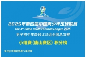 2025年第四届中青赛男子初中年龄段U15组全国总决赛小组赛积分榜