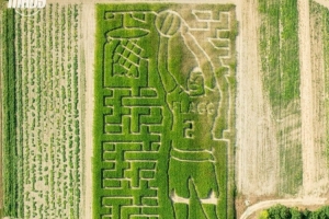 整活新高度🌽！独行侠晒照 新科状元弗拉格被“种”进了玉米地